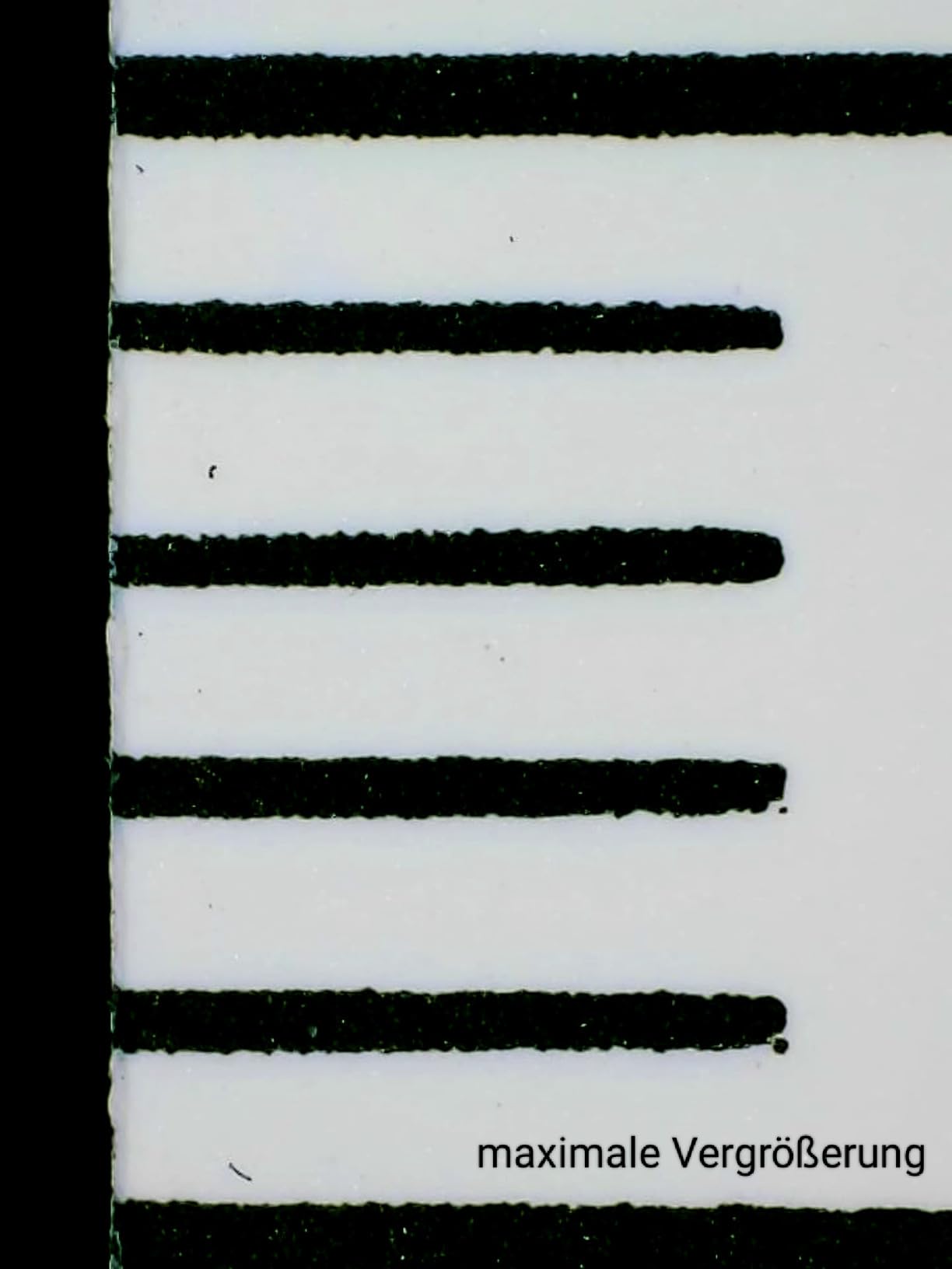 Blätter im Detail