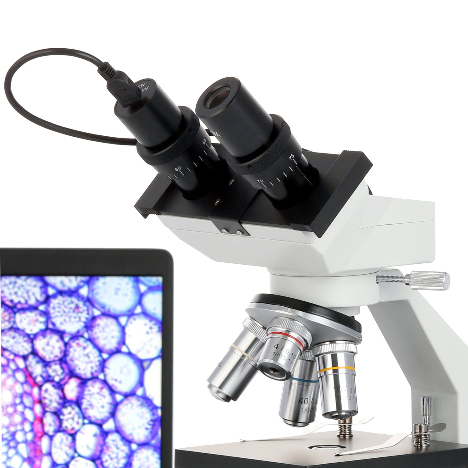 amscope-b100-durchlichtmikroskop-40x-1000x-binokular-led image 6