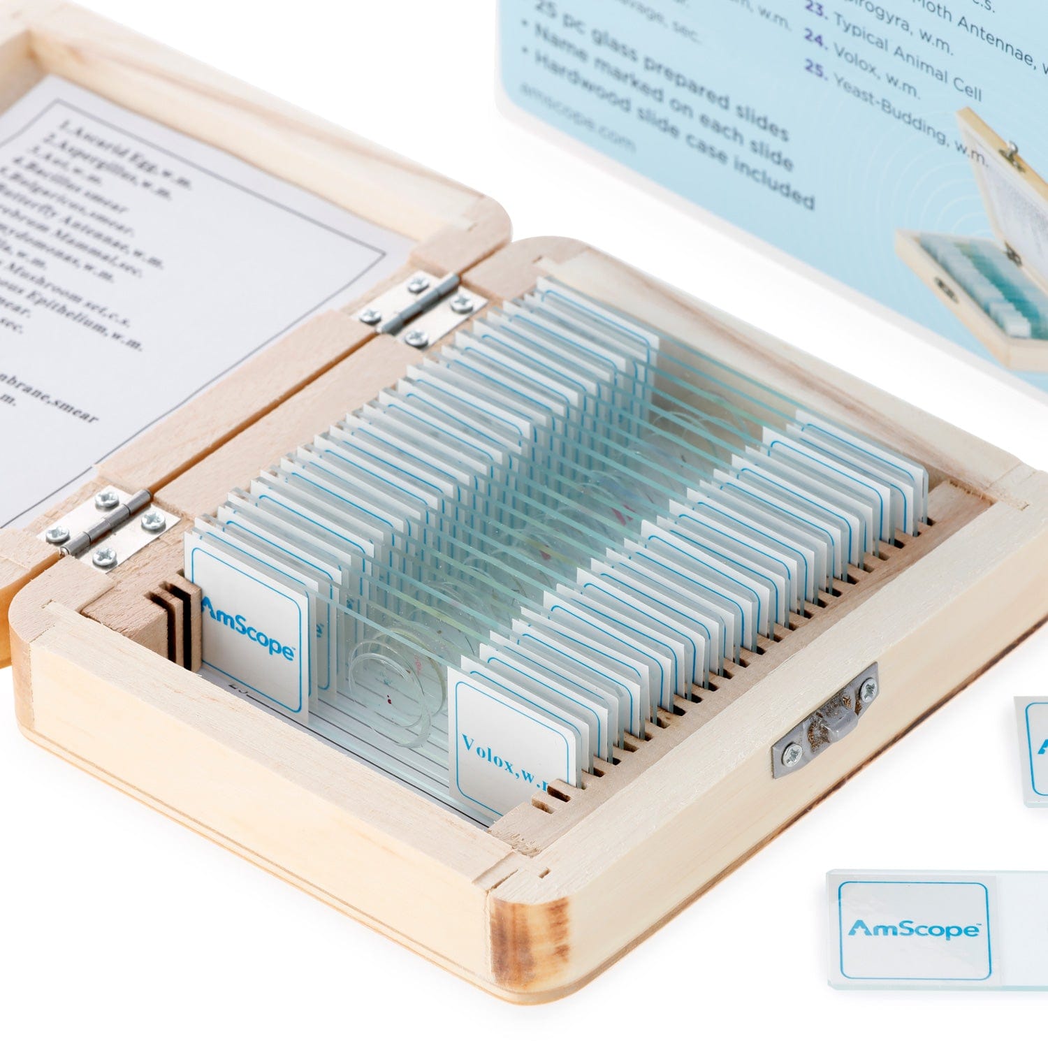 amscope-ps25w-mbg-pr-parate-set-25-glas-biologie-holzbox image 2