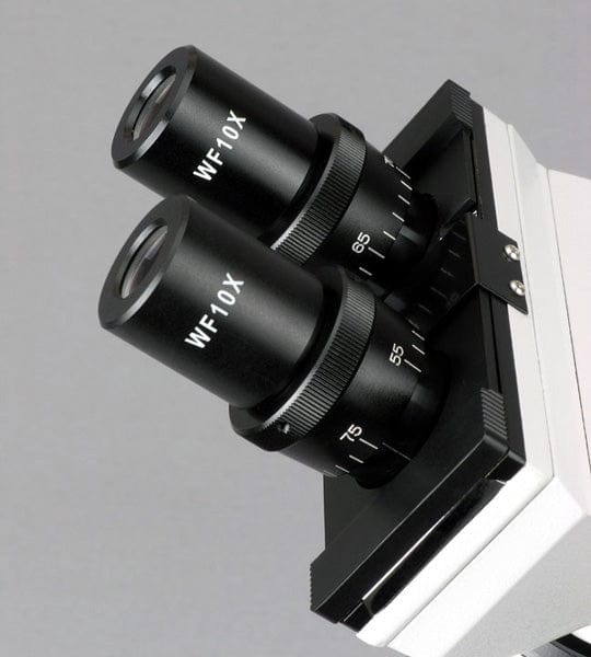 amscope-b100b-5m-binokular-mikroskop-2000x-mit-5mp-usb-kamera image 6