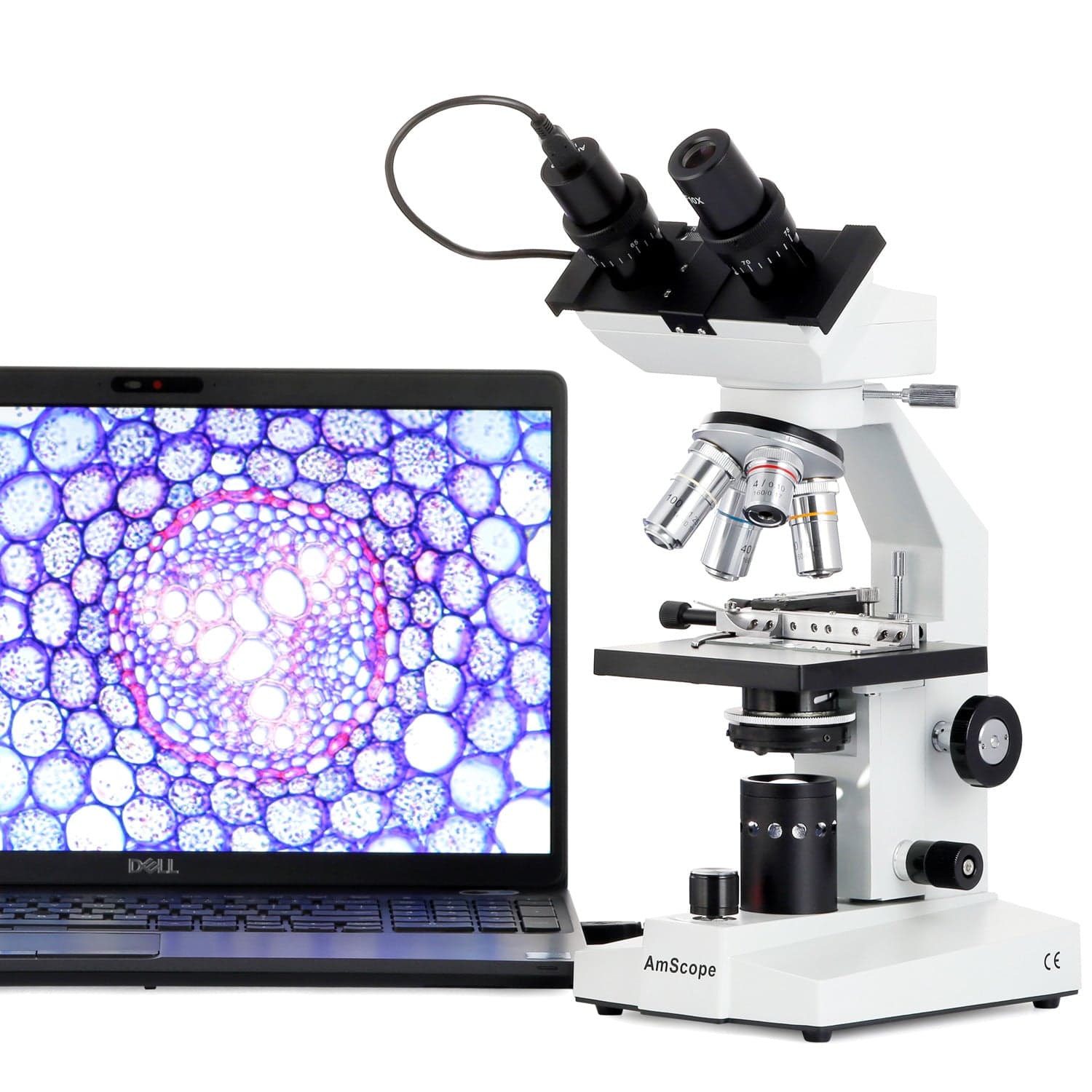 amscope-b100-binokulares-mikroskop-40x-1000x-led-ohne-kamera image 4