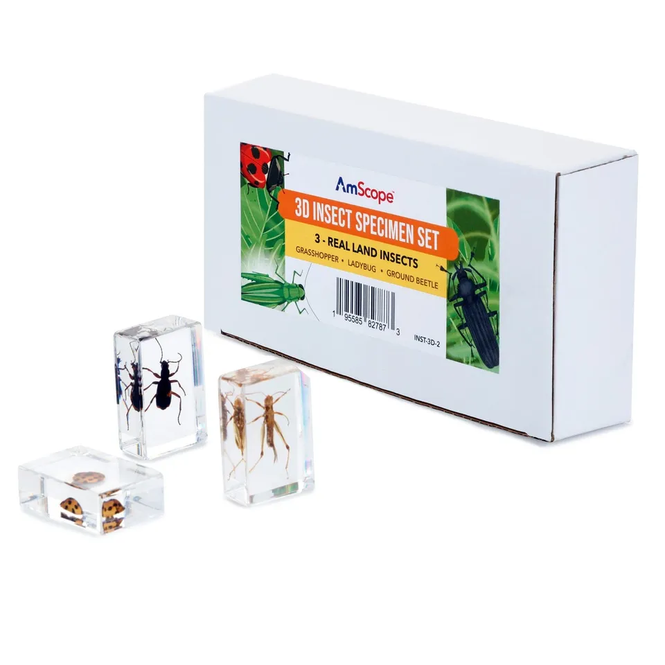amscope-insekten-pr-parate-set-3-teilig-schmetterling-biene image 1