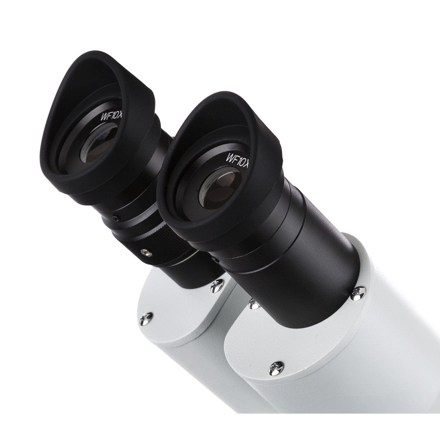 amscope-se306r-pz-stereomikroskop-20x-40x-80x-auf-durchlicht image 5