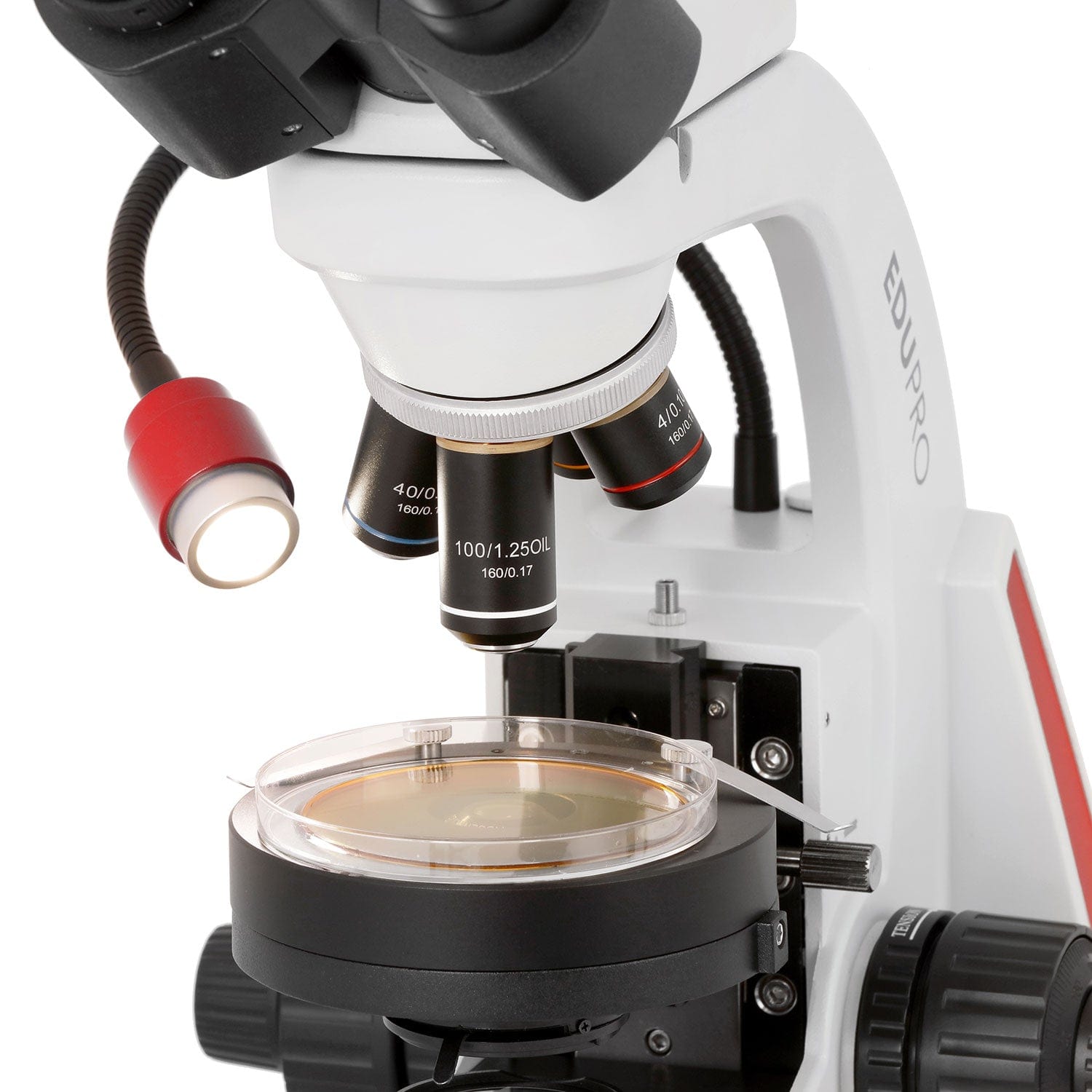 amscope-edu552b-binokular-durchlichtmikroskop-1000x-led image 8