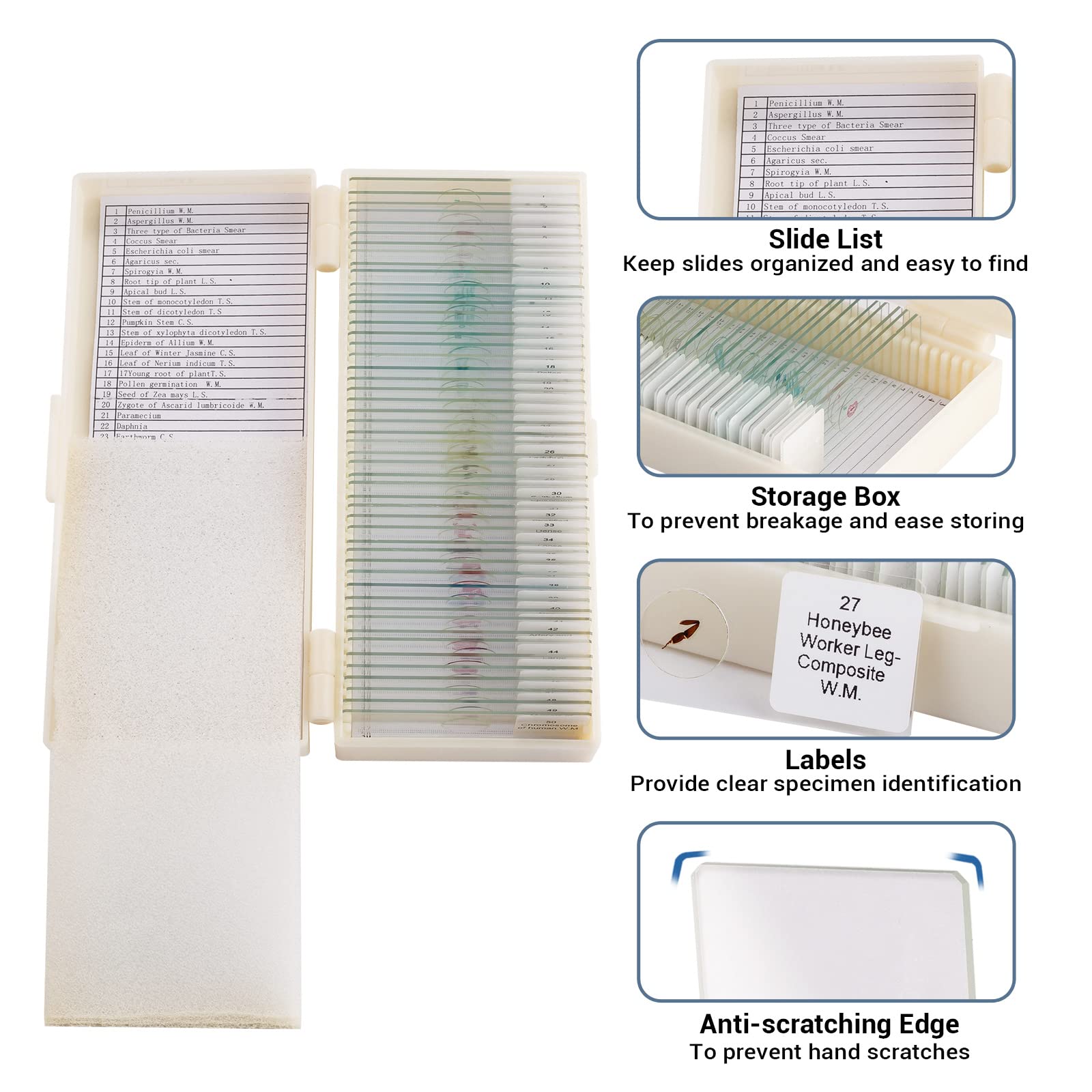 maxlapter-accessories-50-mikroskop-objekttr-ger-glas-bio image 6