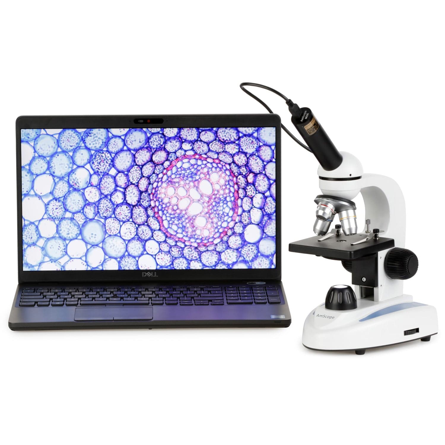 amscope-m149c-monokular-sch-lermikroskop-1000x-insekten-set image 6