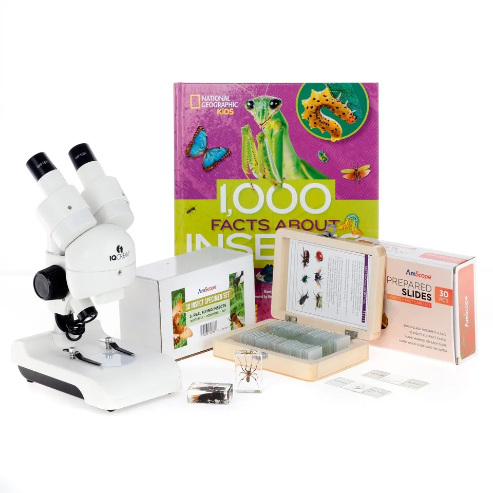 amscope-kvb-inst-122-adv-stereomikroskop-set-10x-insekten image 1
