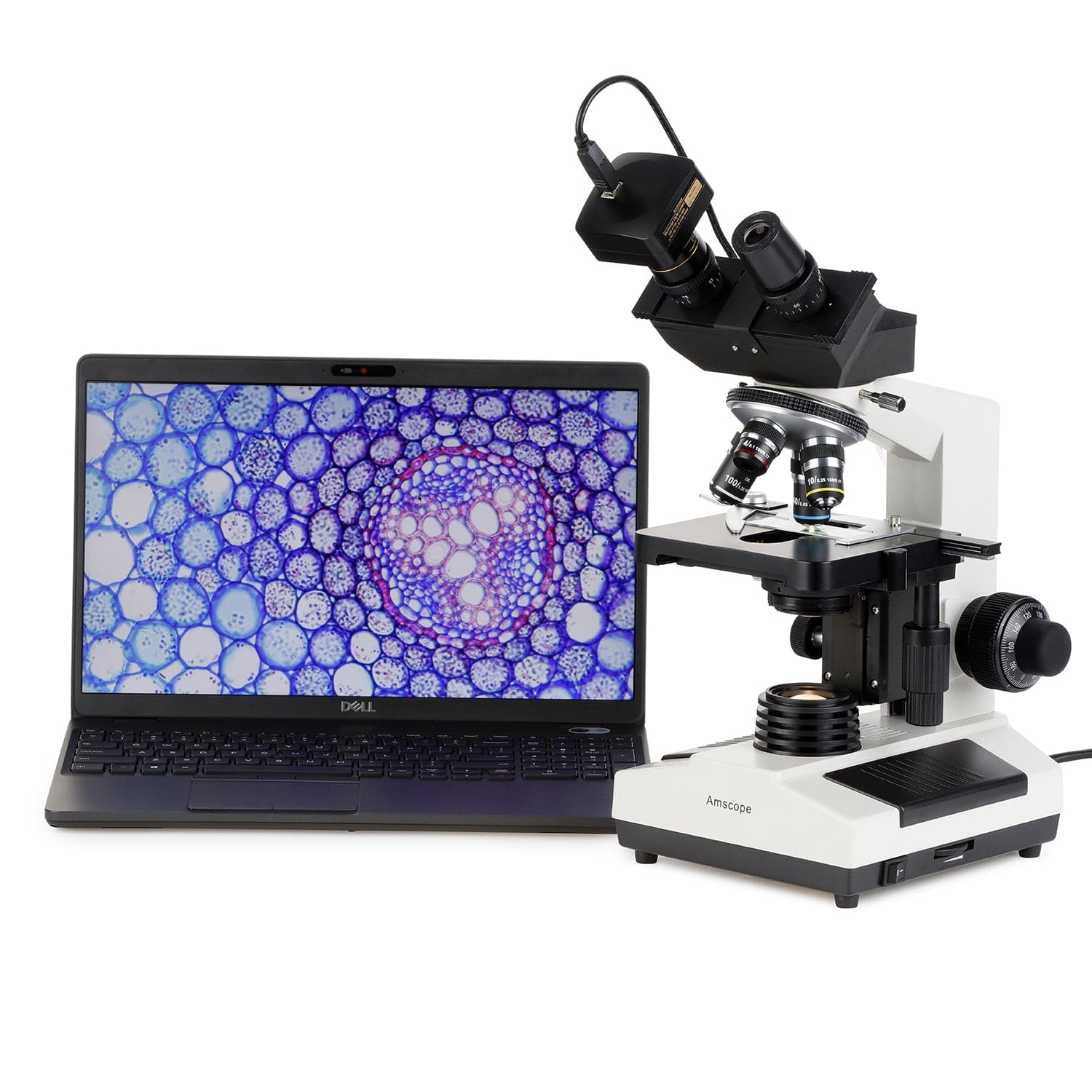 amscope-b390-durchlichtmikroskop-40x-1000x-dunkelfeld image 6