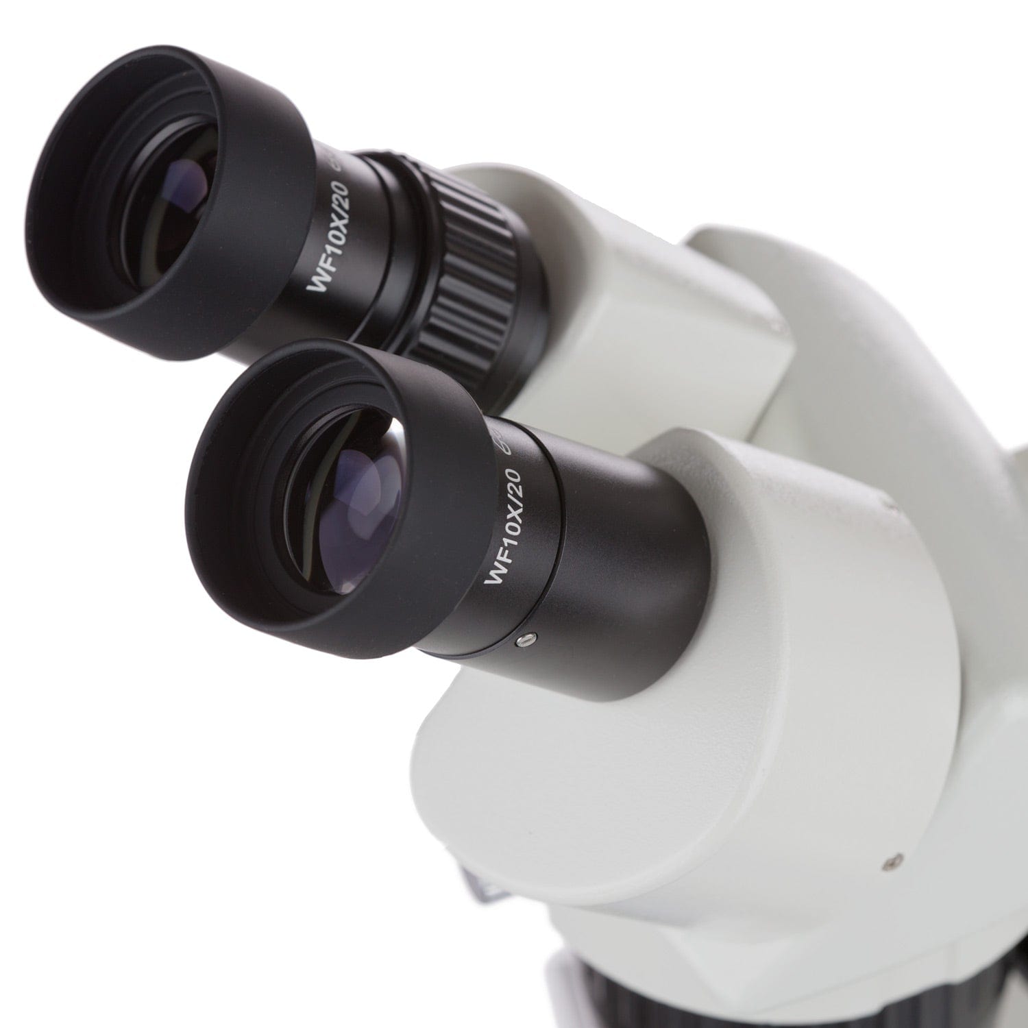 amscope-sw-2b24-stereomikroskop-20x-40x-halogen-auflicht image 2