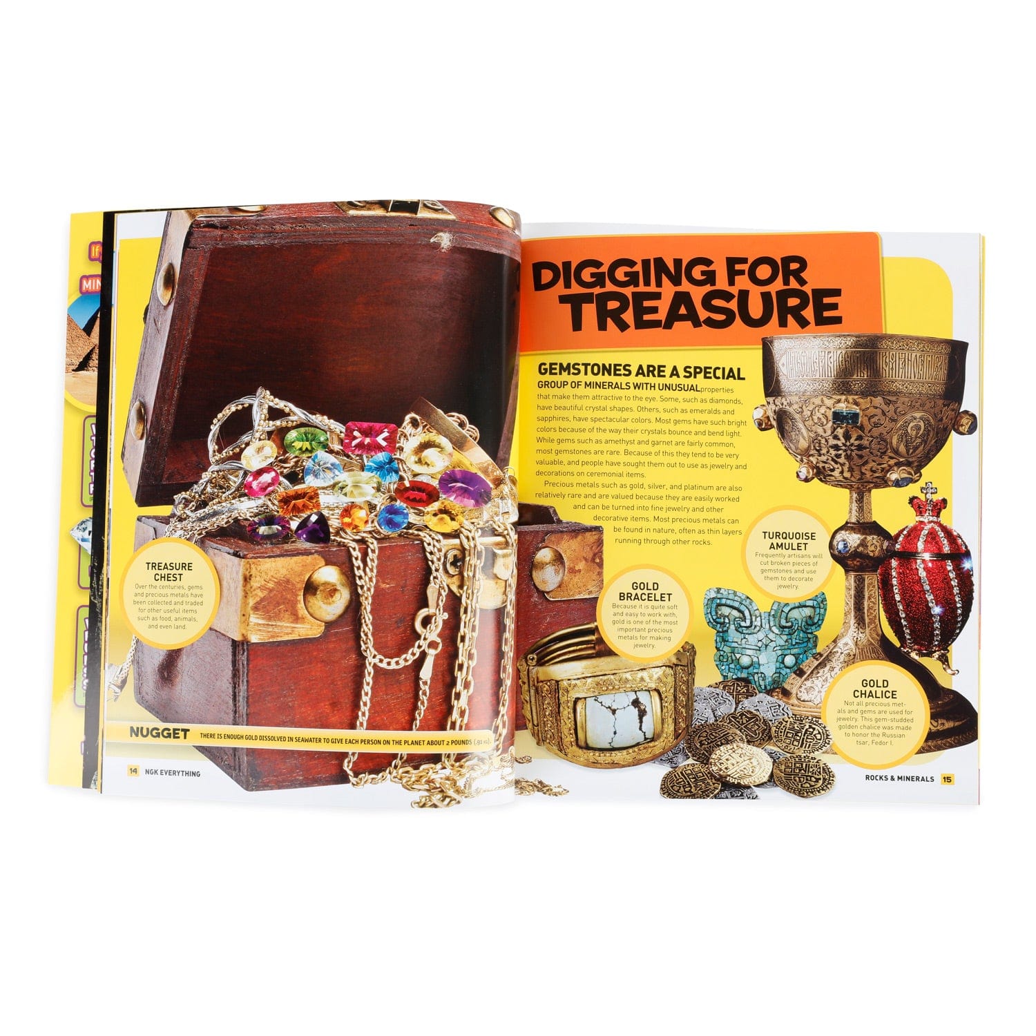 amscope-bk-rm-everything-rocks-and-minerals-buch-kinder image 5