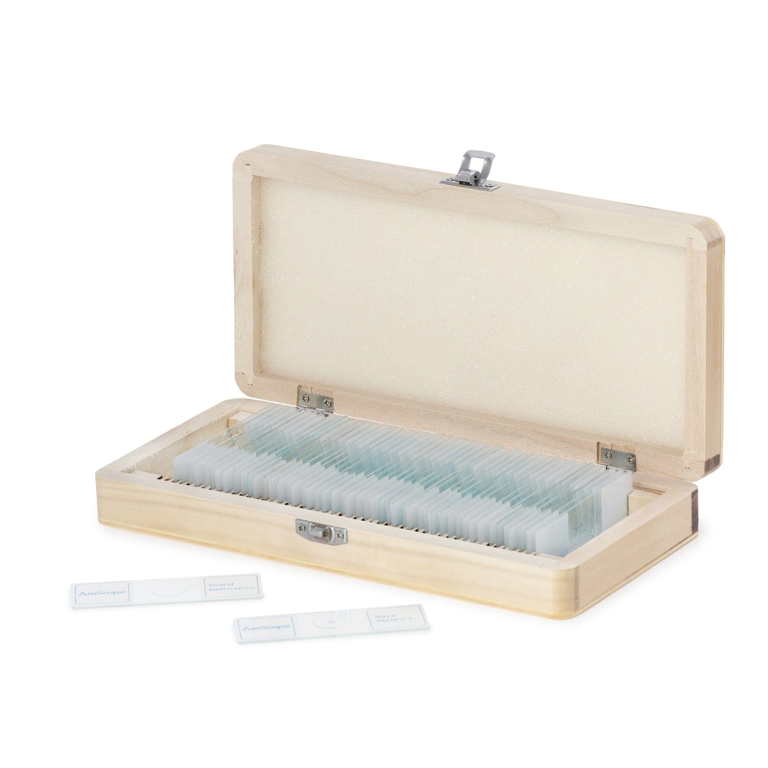 amscope-ps50w-btn-botanik-pr-parate-50-glas-objekttr-ger image 6