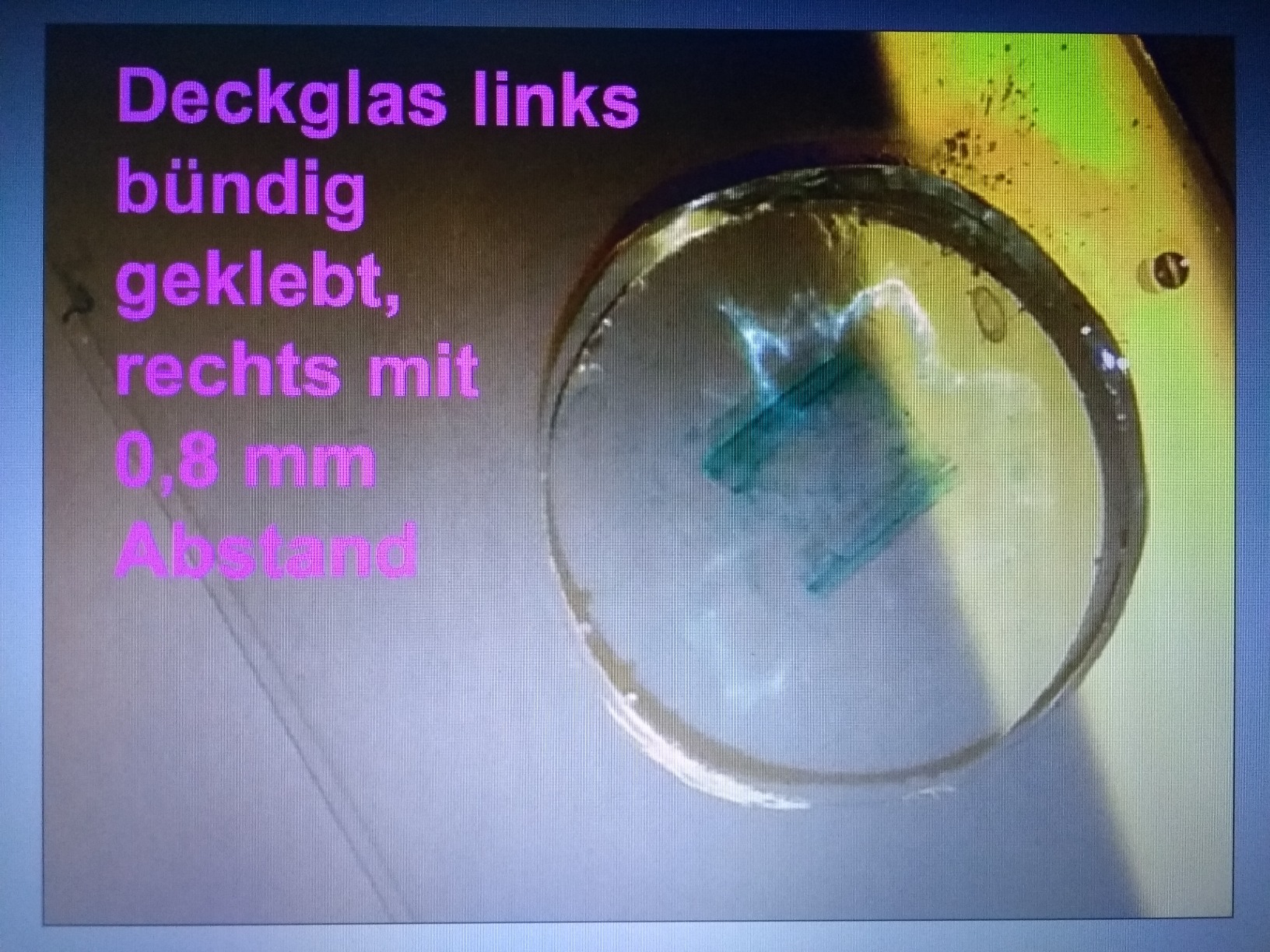 Insekt klar