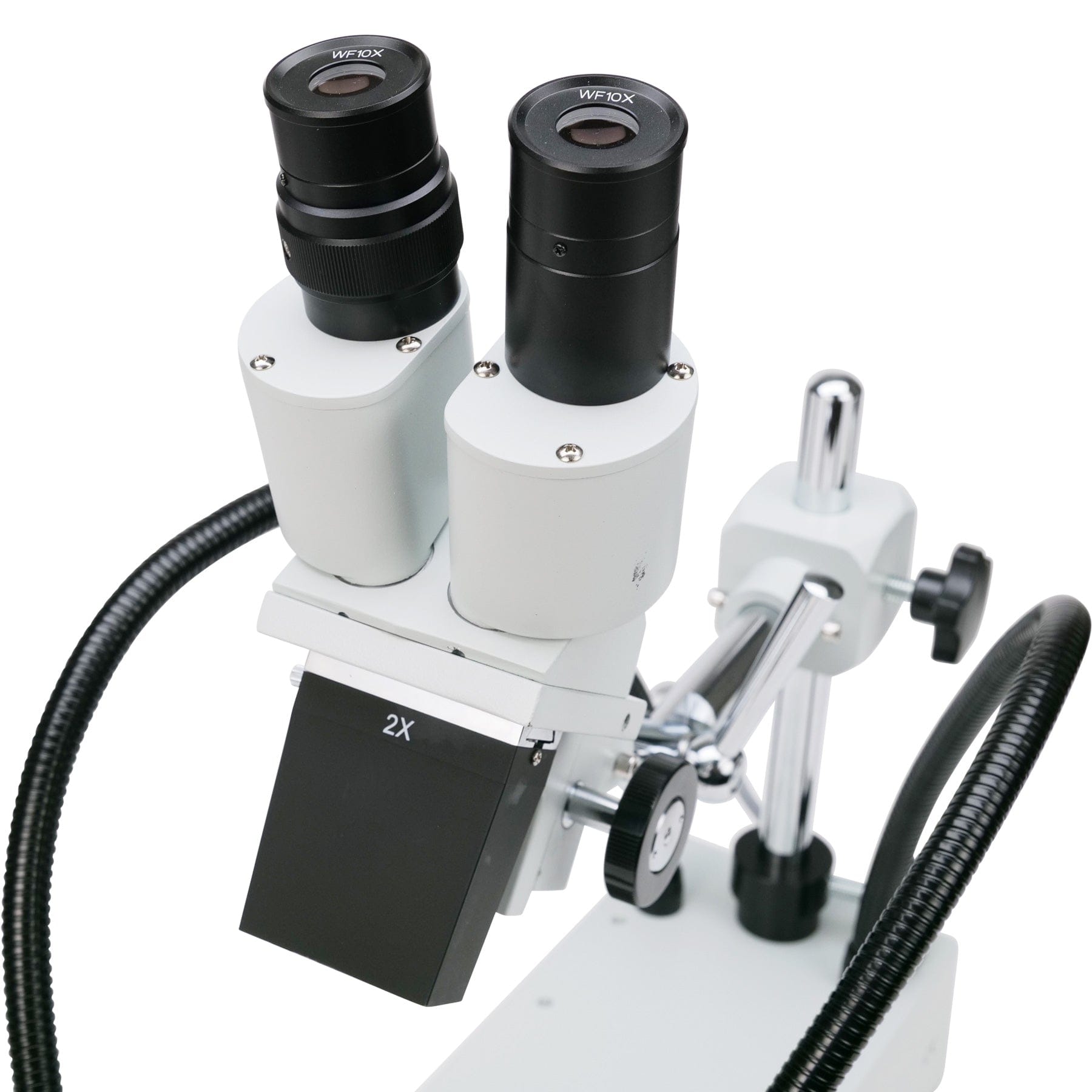 amscope-se420y-binokular-stereomikroskop-20x-30x-stativarm-led image 4