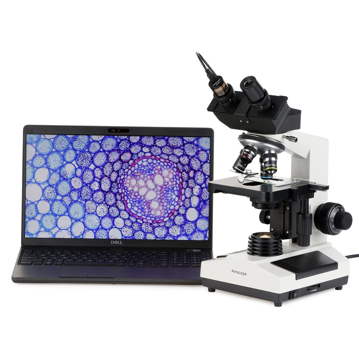 amscope-b390-durchlichtmikroskop-40x-1000x-dunkelfeld image 4