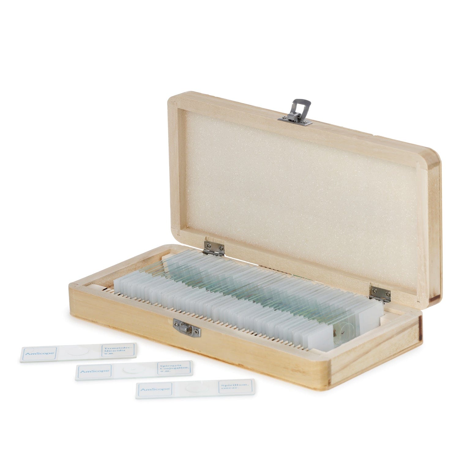amscope-ps50w-zlg-zoologie-objekttr-ger-glas-50er-set image 3