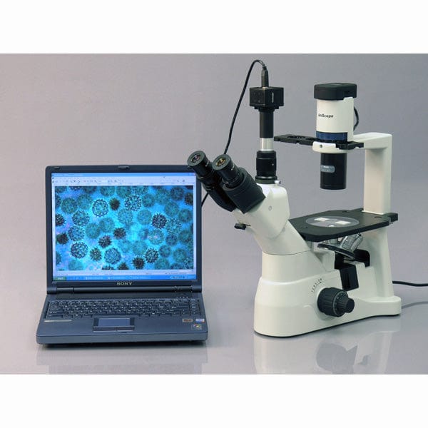 amscope-in400t-trinokular-mikroskop-600x-invertiert image 5