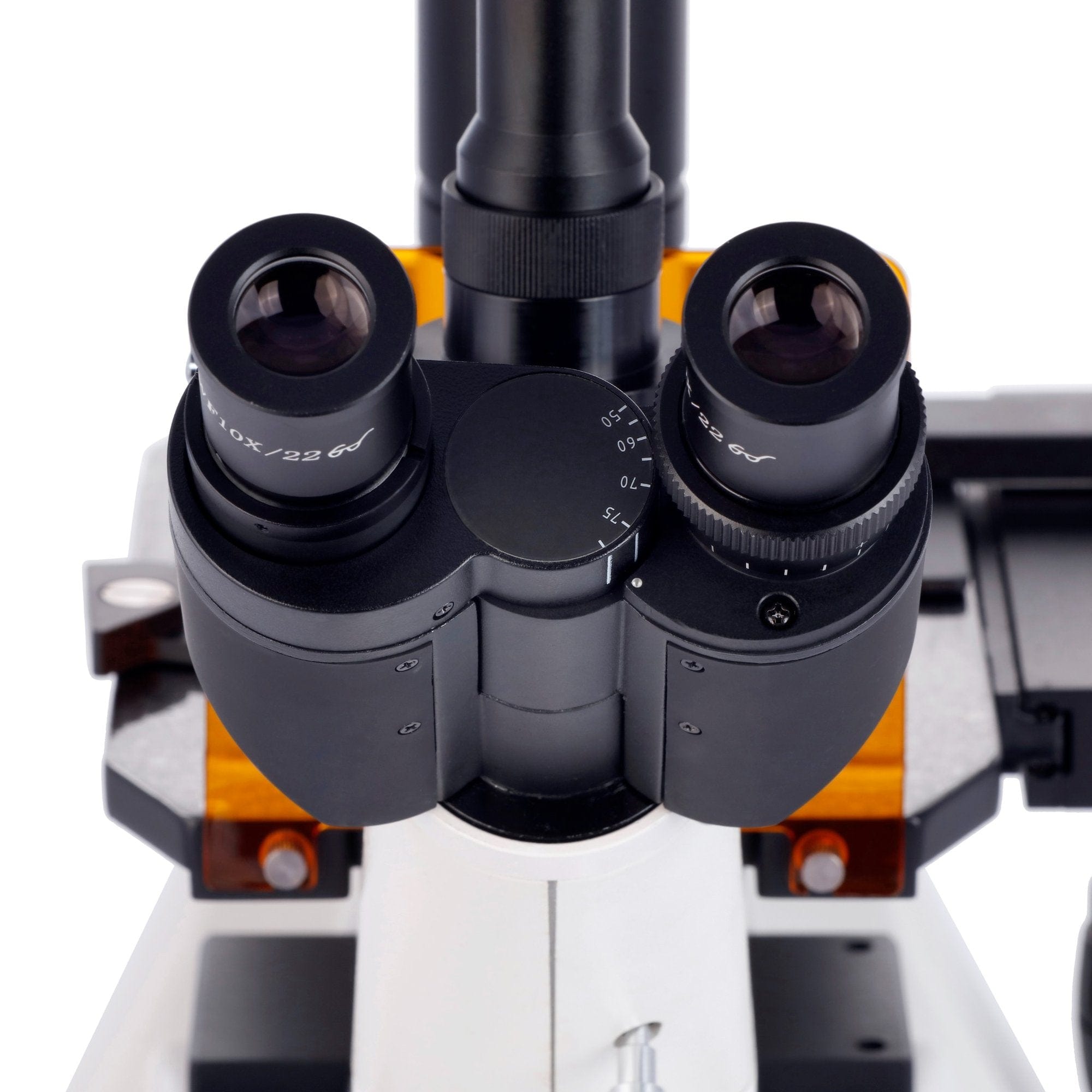 amscope-in300-inverses-fluoreszenz-mikroskop-trinokular-5mp-40-400x image 8