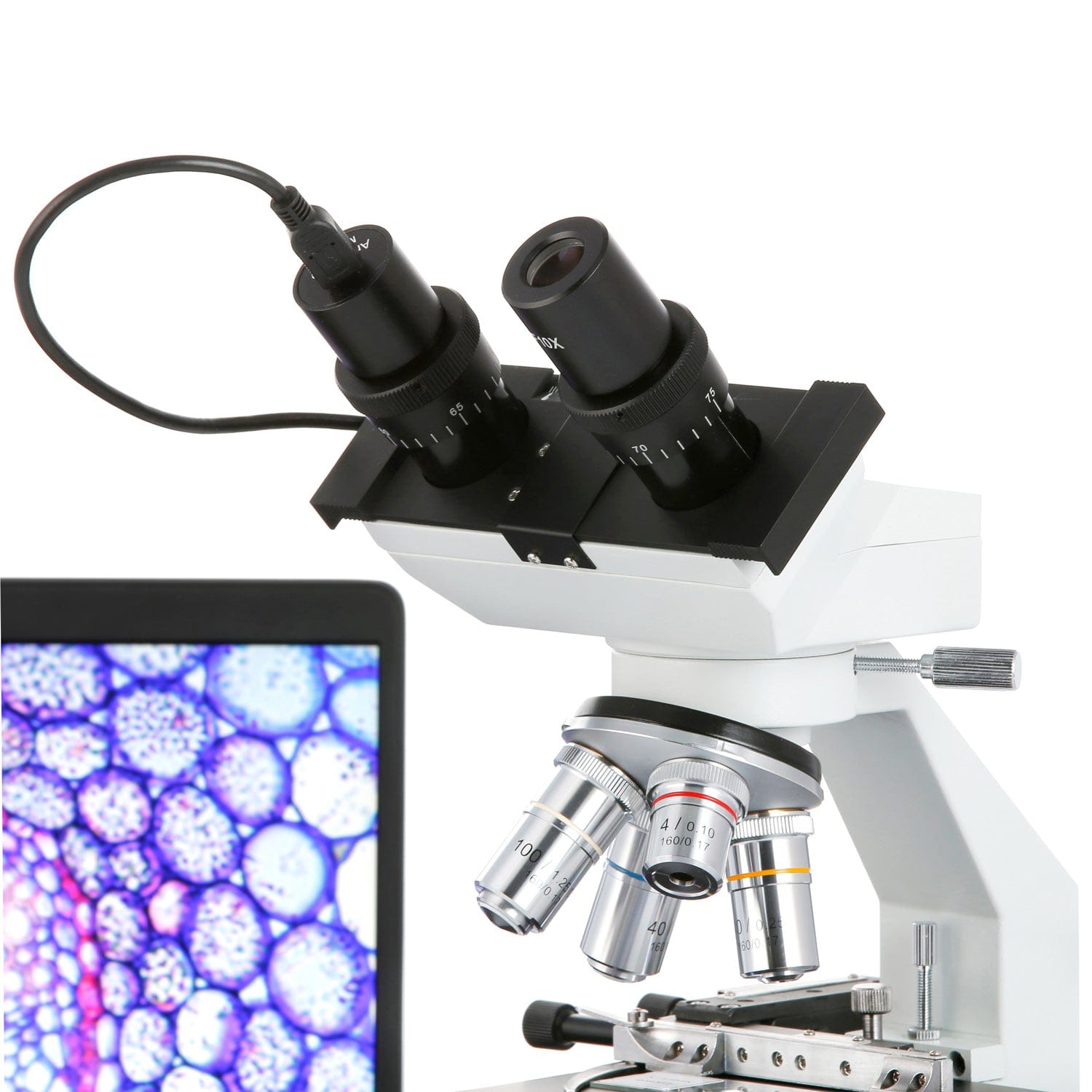 amscope-b100-binokulares-mikroskop-40x-1000x-led-ohne-kamera image 3