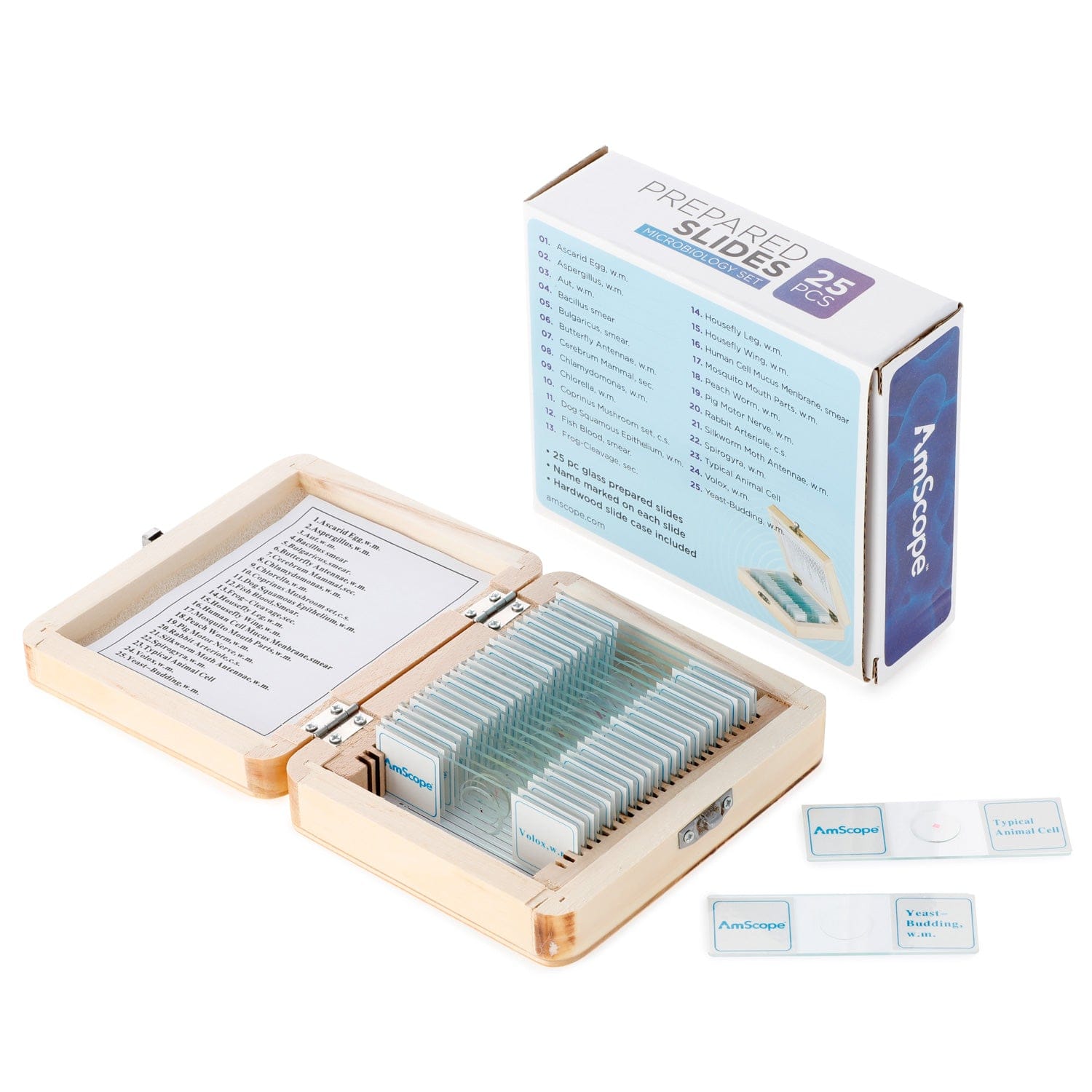 amscope-ps25w-mbg-pr-parate-set-25-glas-biologie-holzbox image 5