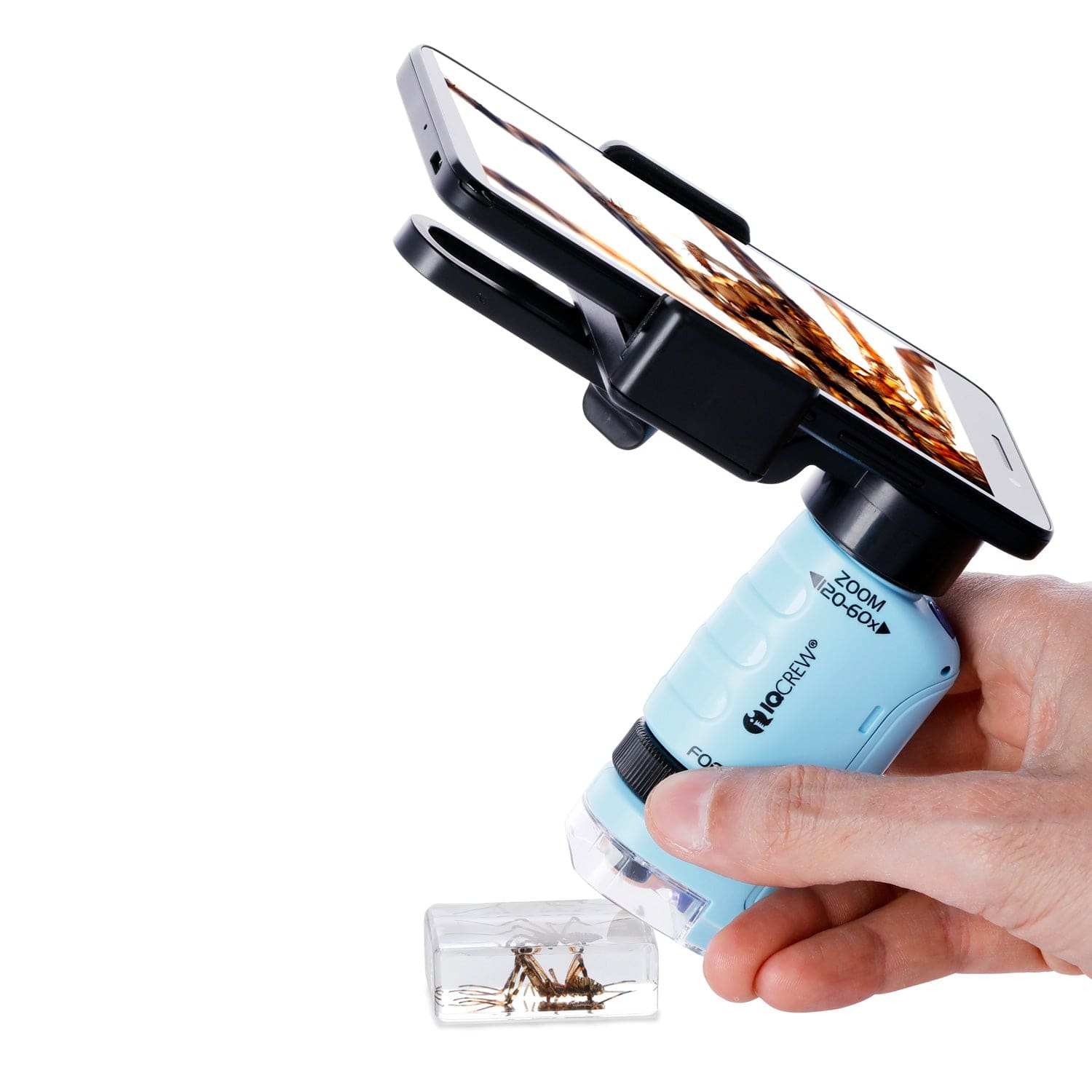 amscope-hh612-handmikroskop-60x-120x-mit-led-und-st-nder image 5