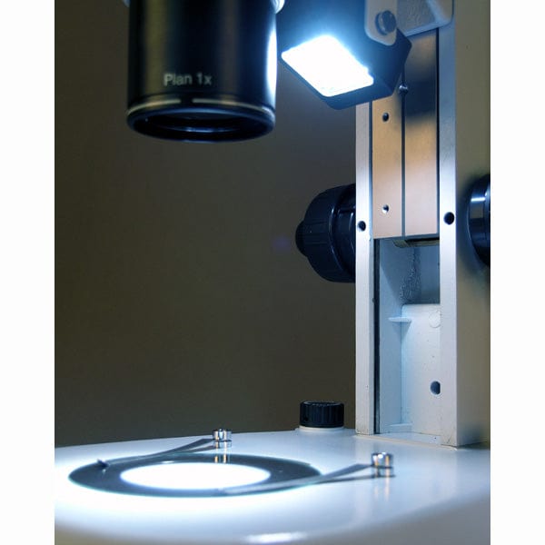 amscope-pm240b-stereomikroskop-binokular-8-80x-led image 5