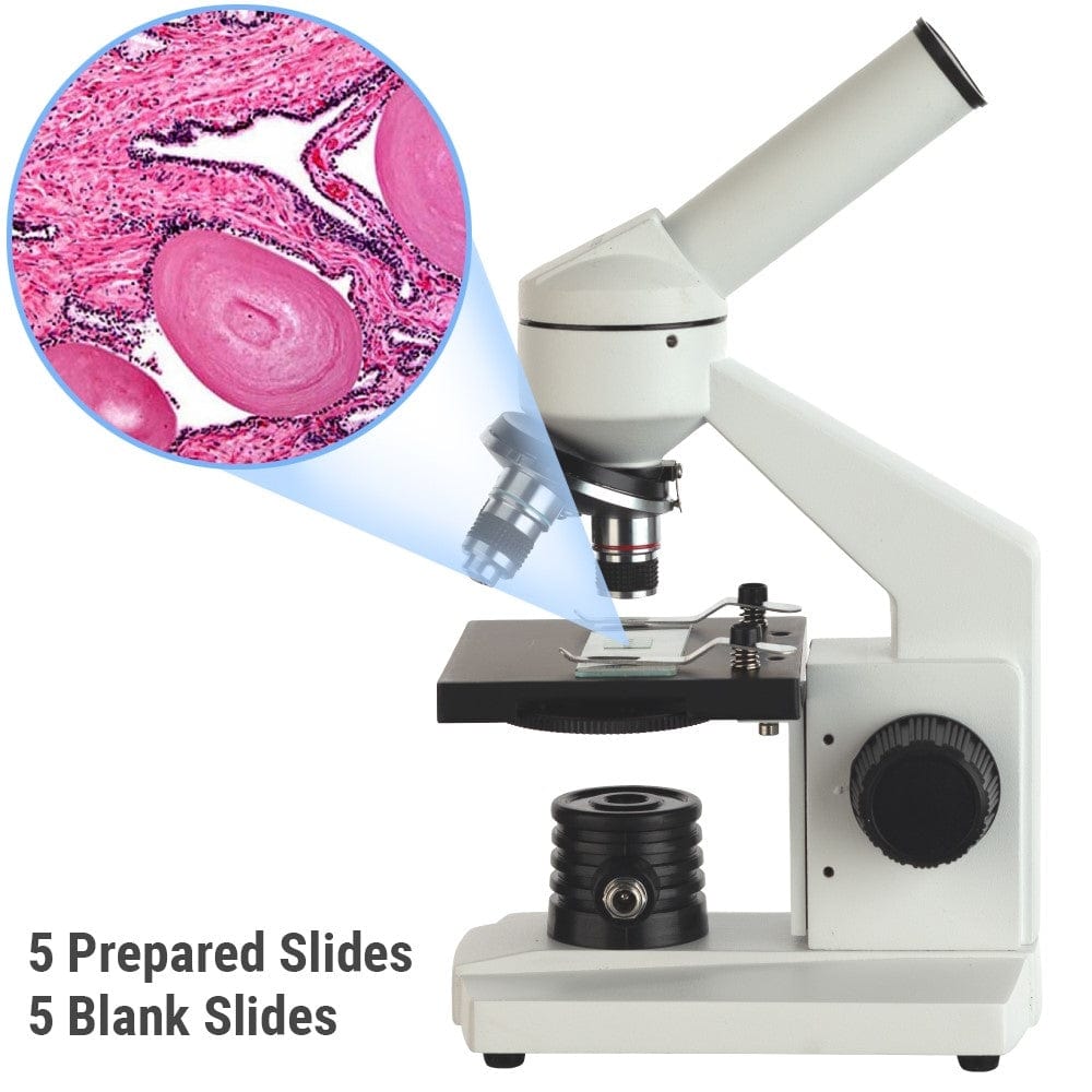 amscope-m102c-sch-lermikroskop-1000x-set-led image 2
