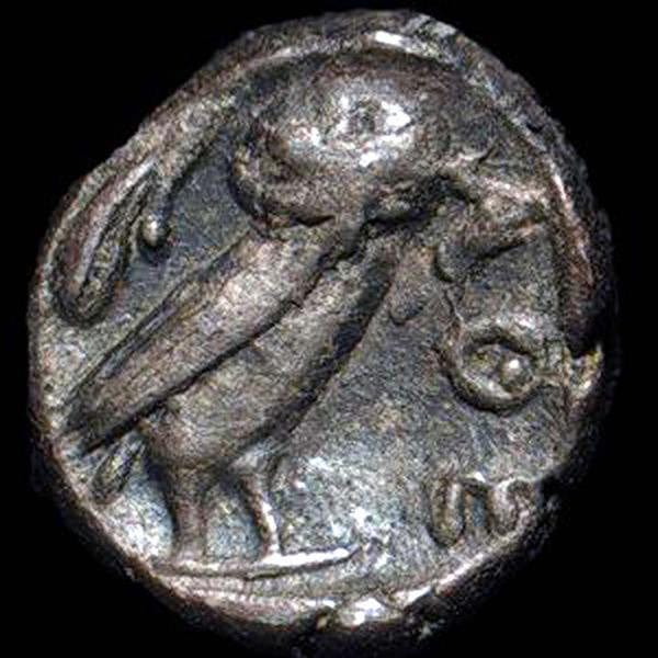 amscope-se304r-p-stereomikroskop-binokular-20x-40x-s-ulenstativ image 4