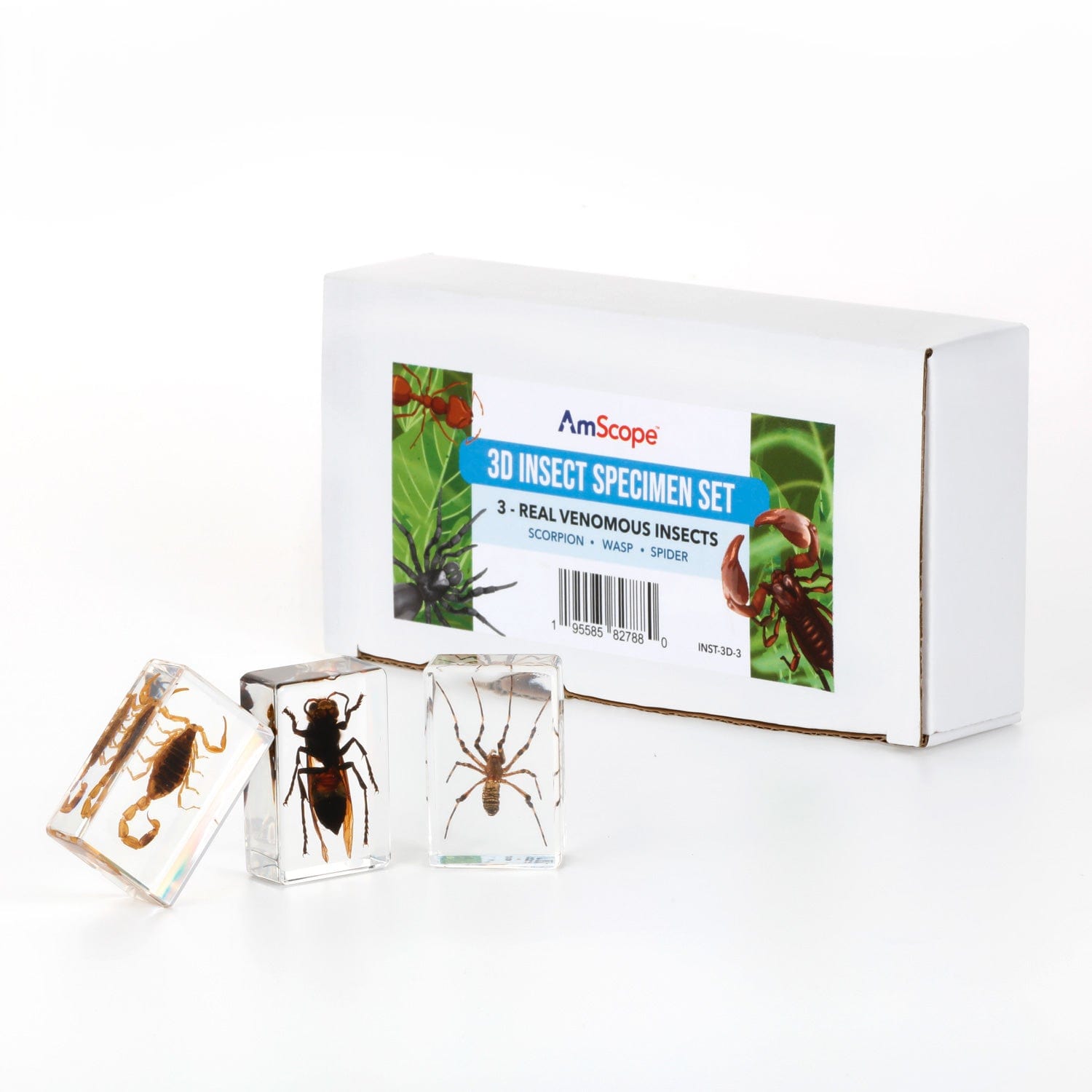 amscope-insekten-pr-parate-set-3-teilig-schmetterling-biene image 3