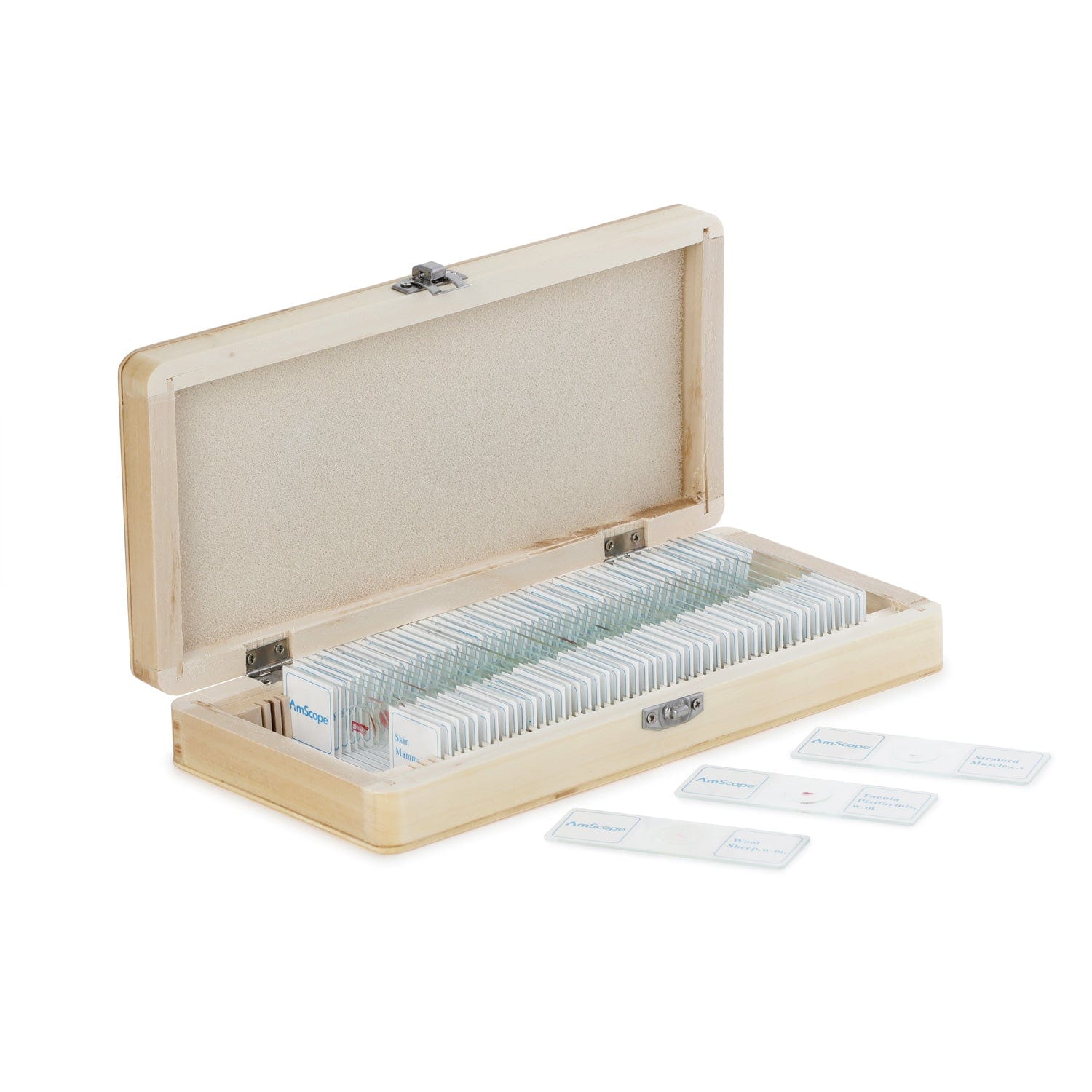 amscope-ps50w-zlg-zoologie-objekttr-ger-glas-50er-set image 5