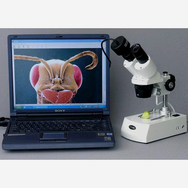 amscope-se306r-pz-3m3-stereomikroskop-20-80x-3mp-usb image 4