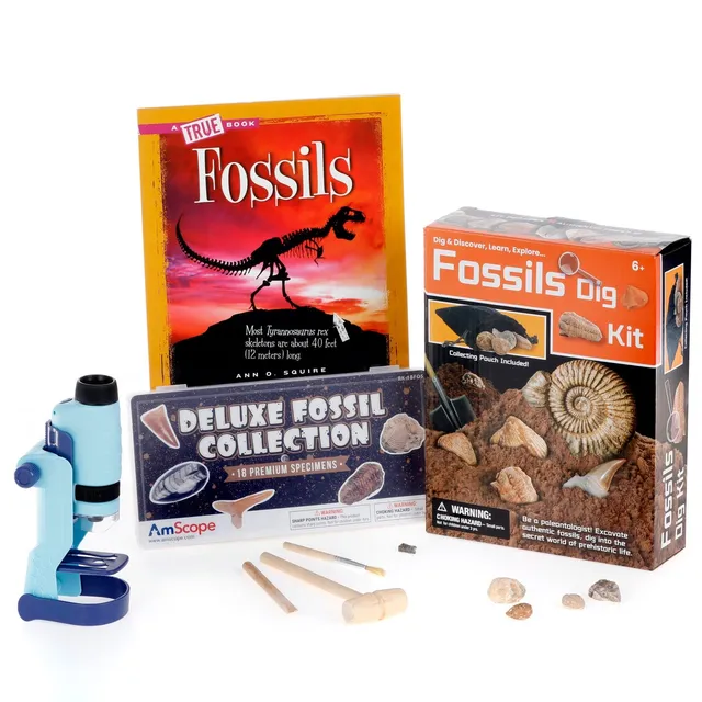 amscope-kvb-fos-612-adv-kindermikroskop-fossilien-set image 1