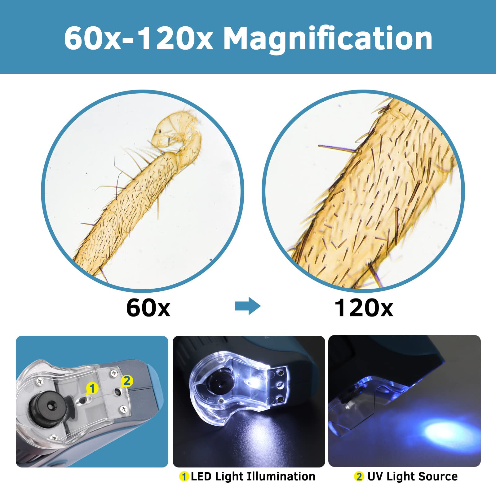 bebang-taschenmikroskop-60x-120x-led-kinder-mikroskop-blau image 3