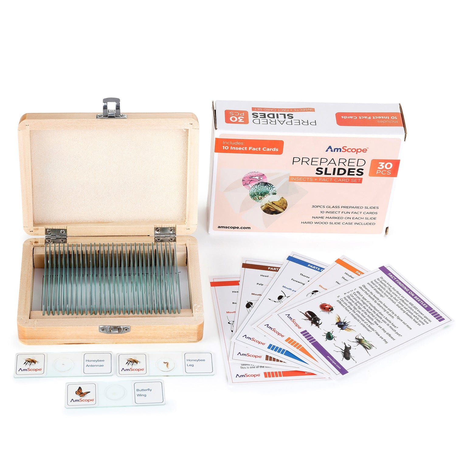 amscope-accessories-ps-inst-objekttr-ger-insekten-30-st-ck-glas image 5