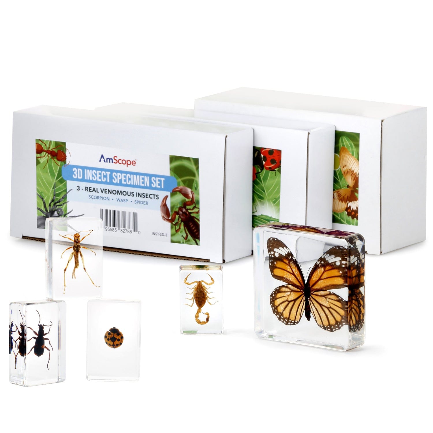 amscope-insekten-pr-parate-set-3-teilig-schmetterling-biene image 4