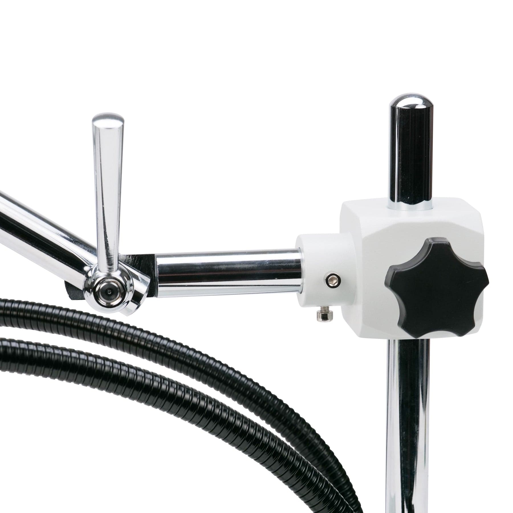 amscope-se420z-stereomikroskop-20x-40x-binokular-led-schwanenhals image 4