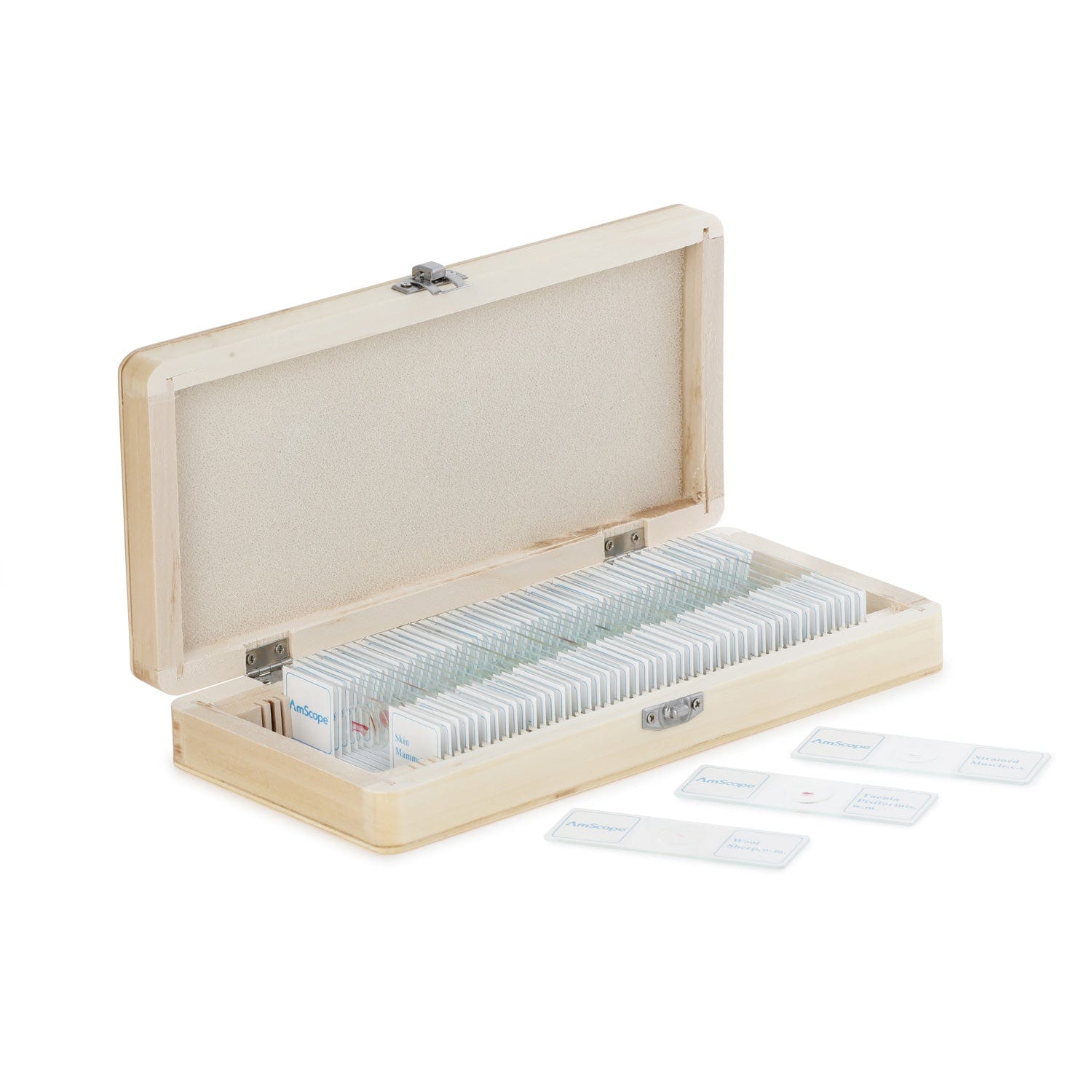 amscope-ps50w-btn-botanik-pr-parate-50-glas-objekttr-ger image 3