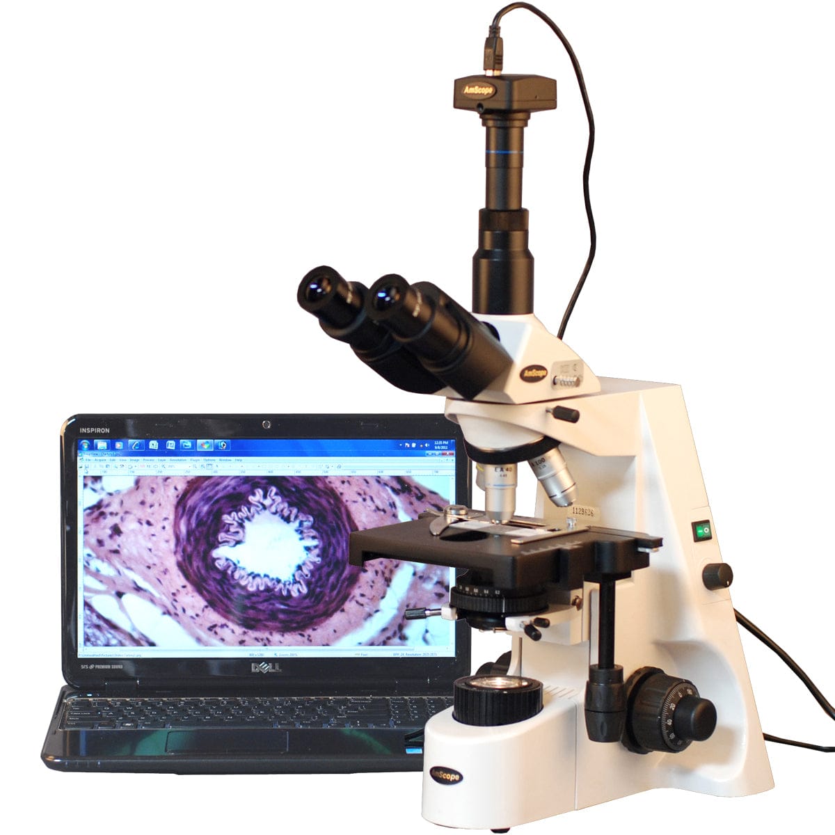 amscope-t690c-pl-m-trinokular-mikroskop-1-3mp-40x-2500x image 3