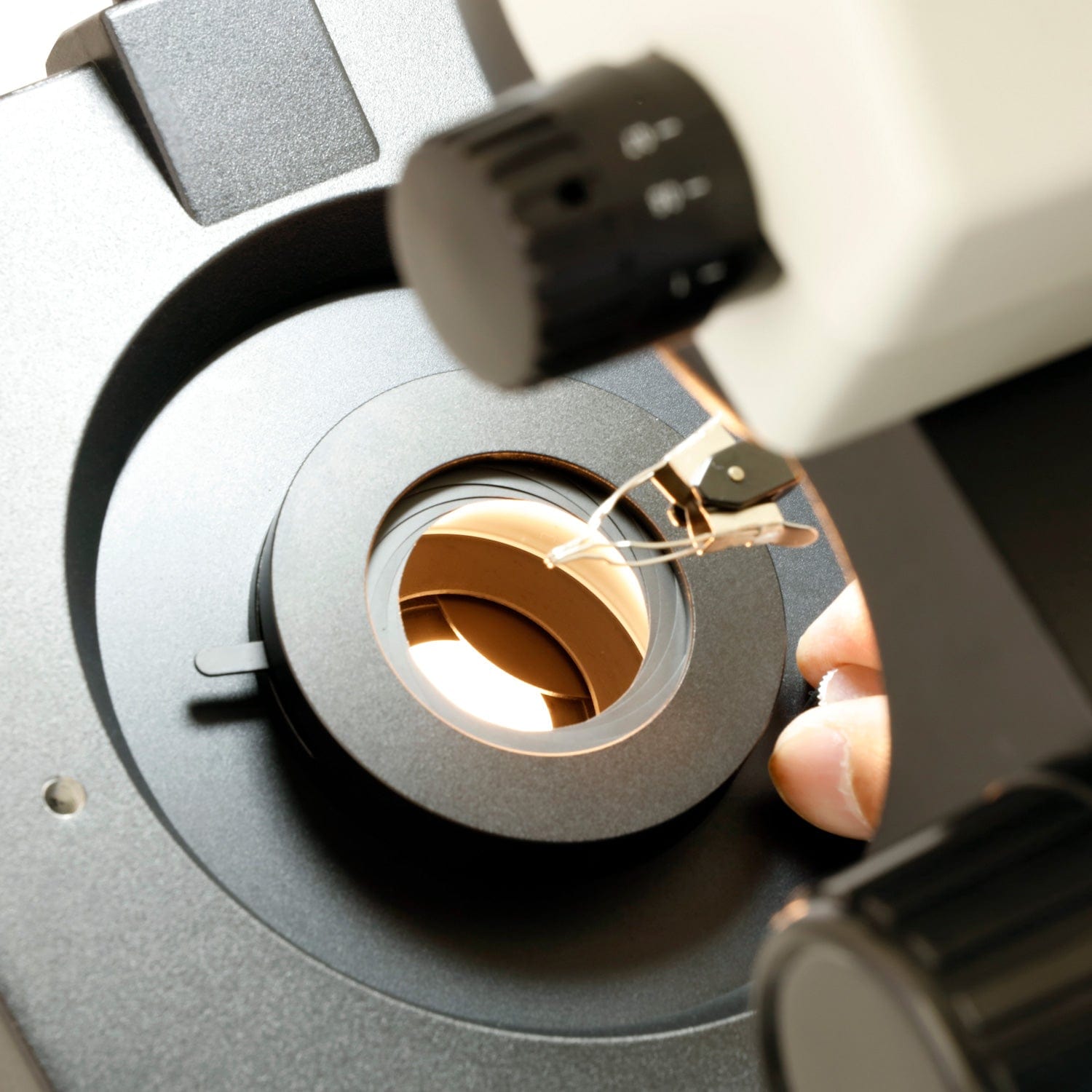 amscope-gm400-juwelier-stereomikroskop-7x-45x-trinokular image 5
