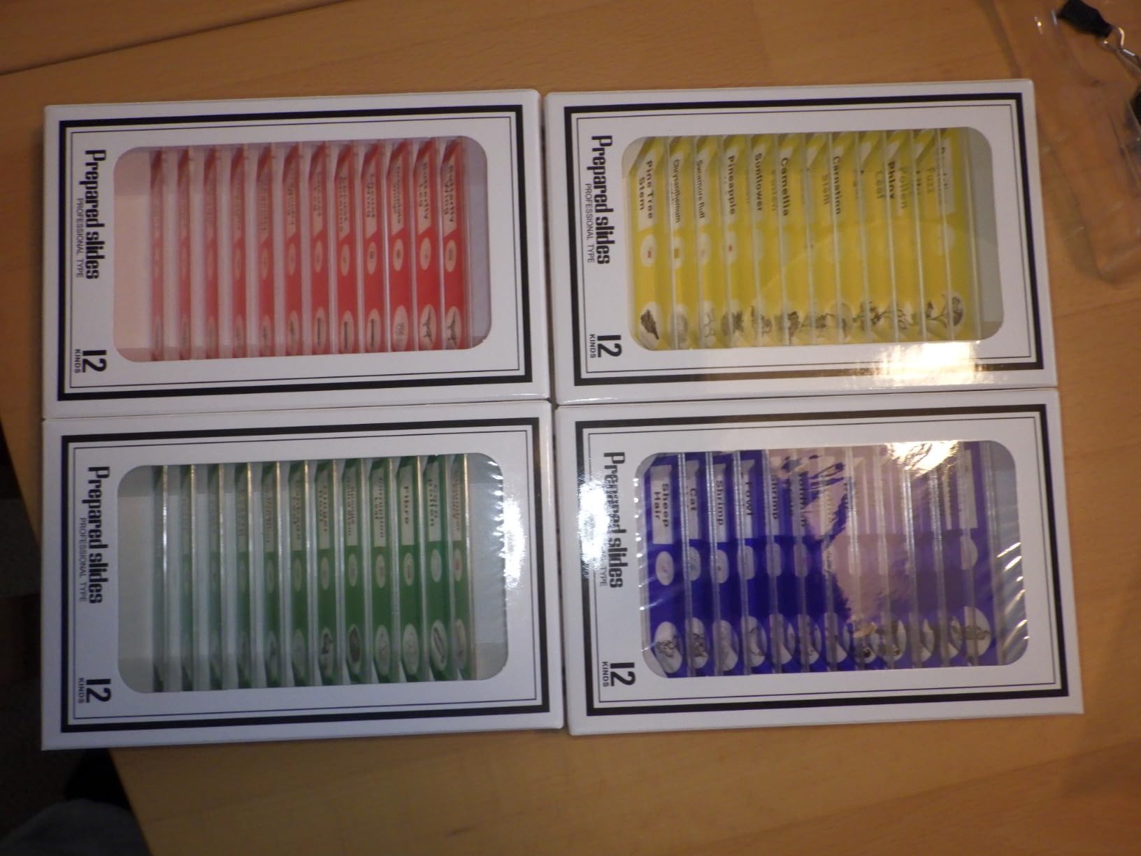 Bunt