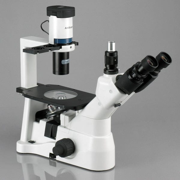 amscope-in400t-trinokular-mikroskop-600x-invertiert image 2