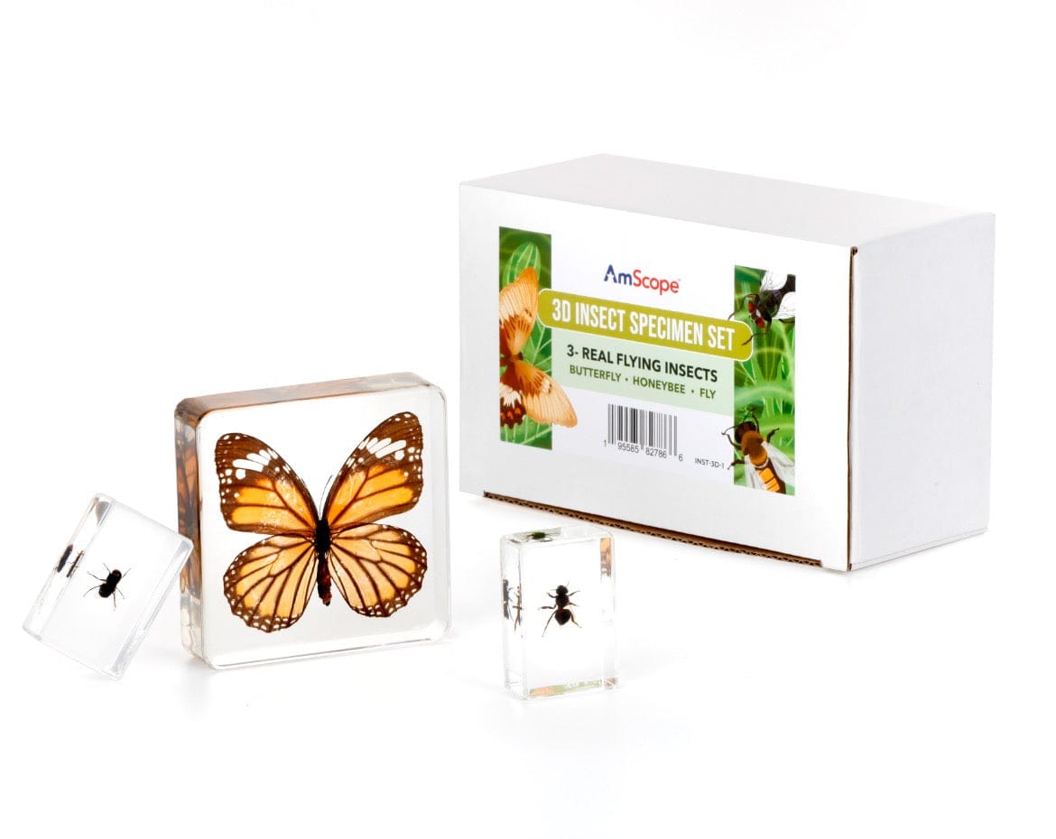 amscope-insekten-pr-parate-set-3-teilig-schmetterling-biene image 2