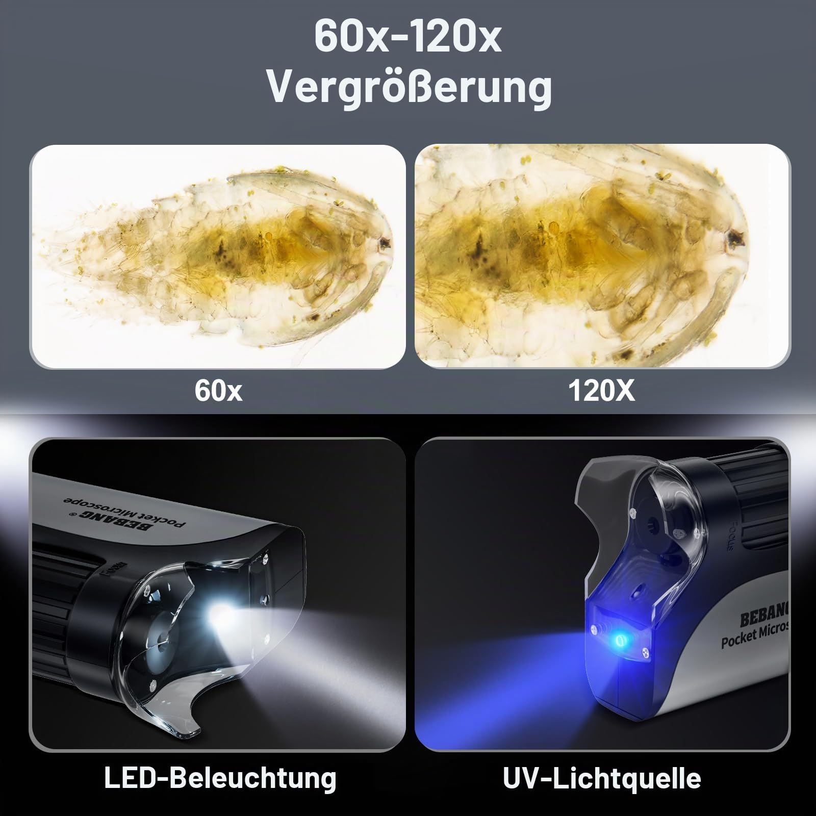 bebang-taschenmikroskop-60x-120x-led-hand-mikroskop-set image 5