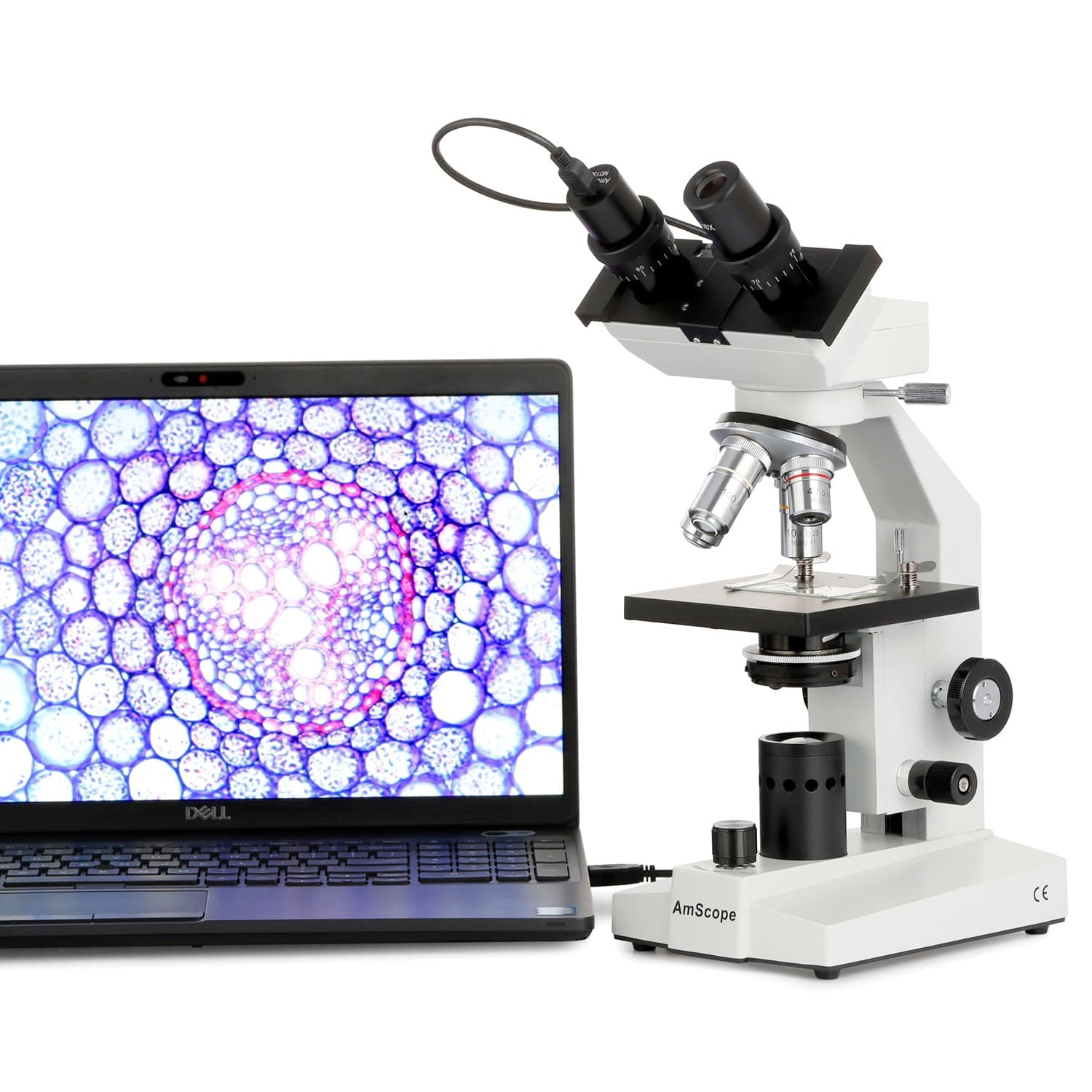 amscope-b100-durchlichtmikroskop-binokular-40x-1000x-led image 5