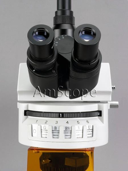 amscope-fm800-fluoreszenzmikroskop-trinokular-40x-400x-20mp image 5
