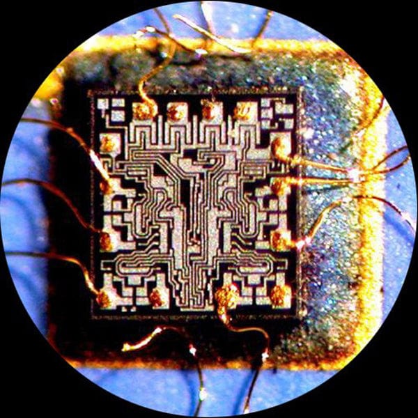 amscope-zm-4t-stereomikroskop-45x-trinokular-mit-stativ image 6