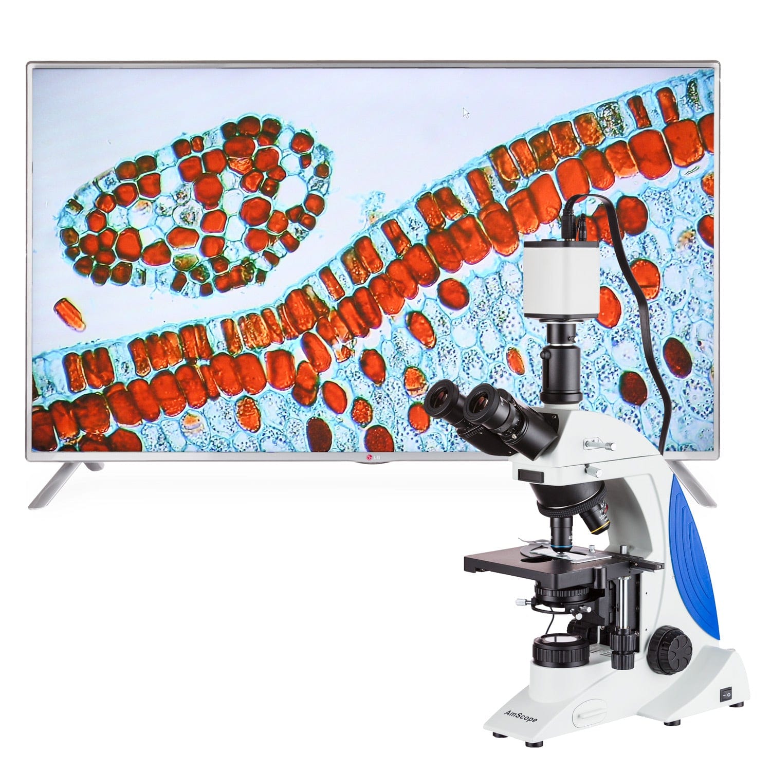 amscope-hd1080l-mikroskopkamera-c-mount-1080p-5mp image 2