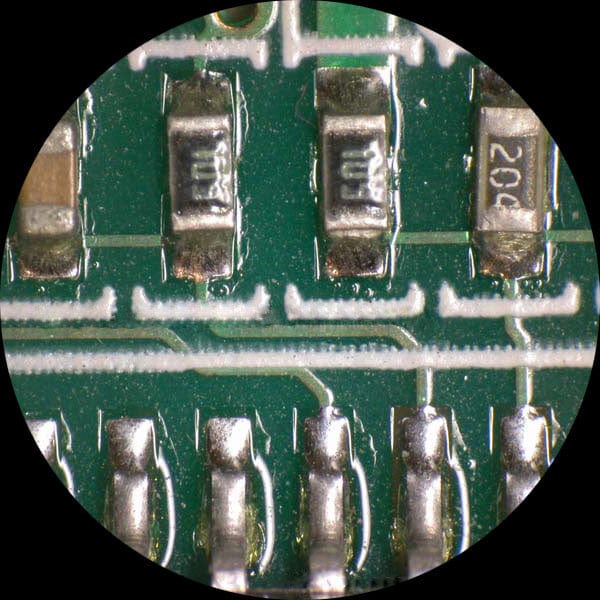 amscope-sm-3tx-frl-b-stereomikroskop-3-5-45x-fluoreszenz image 4