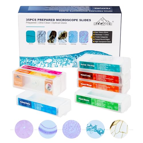 maxlapter-objekttr-ger-pr-parate-set-35-glas-f-r-kinder image 7