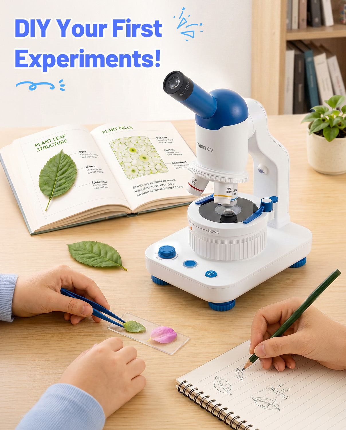 tomlov-dm301k-kindermikroskop-640x-science-kit-led image 6