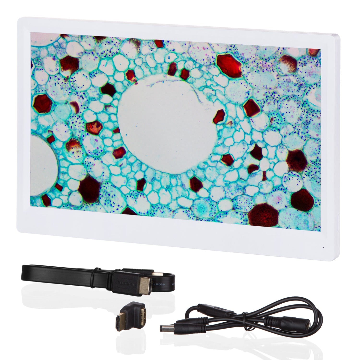 amscope-hdm-11-6-hdmi-monitor-f-r-hd1080-mikroskopkameras image 3